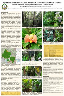 Angiospermas herbaceas PNCC 2021_page-0001.jpg