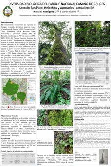 Helechos PNCC 2021_page-0001.jpg